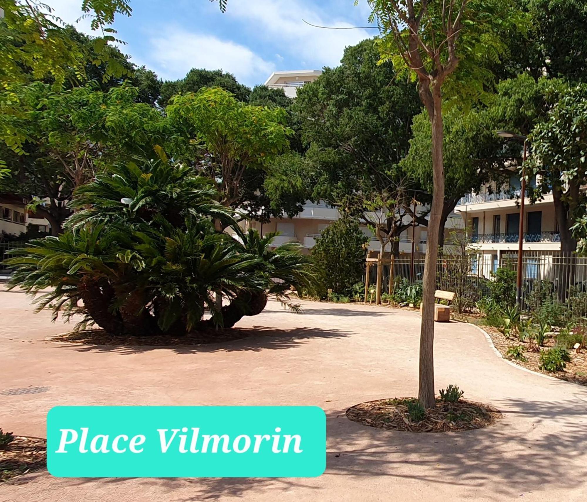 32m2 Les Pins 350 M Climatise Wifi Centre Apartment *