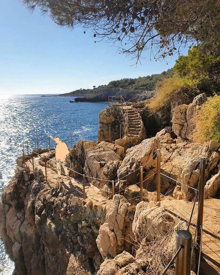 32m2 Les Pins 350 M Climatise Wifi Centre * Juan-les-Pins